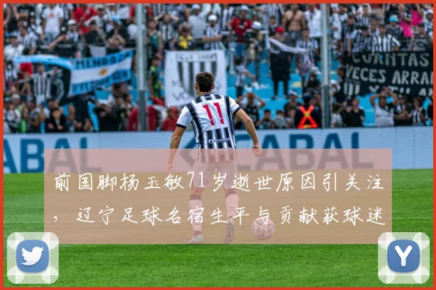 前国脚杨玉敏71岁逝世原因引关注，辽宁足球名宿生平与贡献获球迷深切缅怀